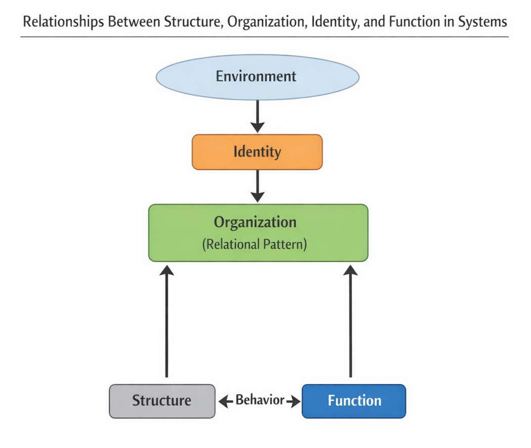 Structure, Identity, and Function in Systems - SEBoK
