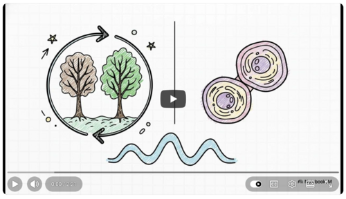 From Nature's Patterns to Systems Science - SEBoK